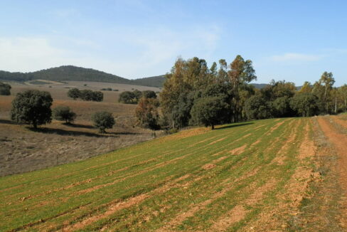 554_fincas-en-venta-058