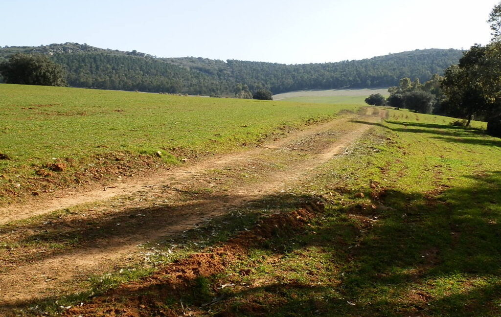 554_fincas-en-venta-063