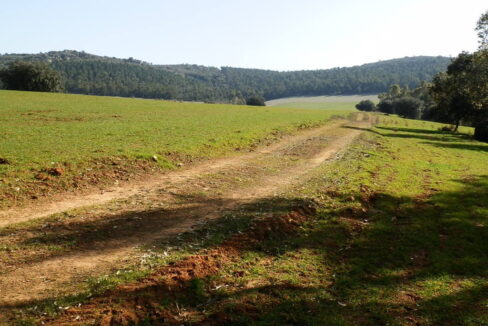 554_fincas-en-venta-063