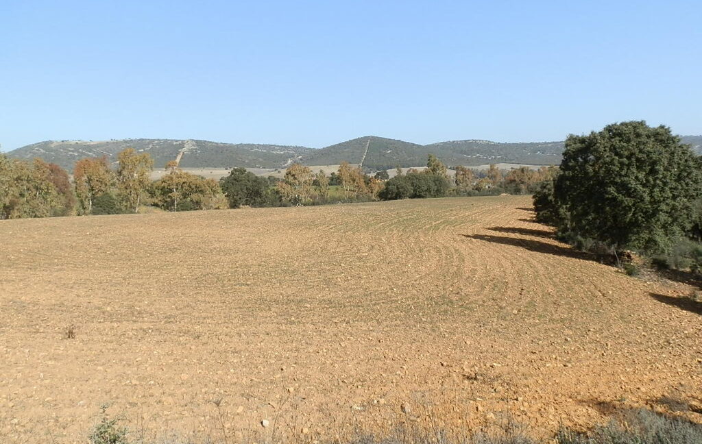 554_fincas-en-venta-073