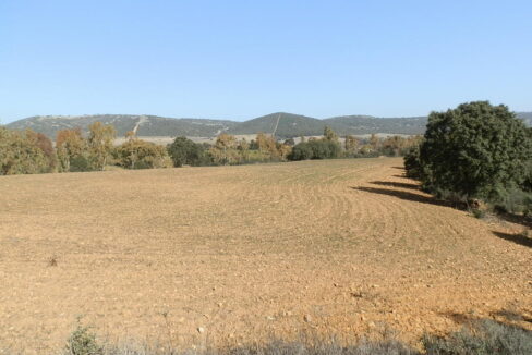 554_fincas-en-venta-073
