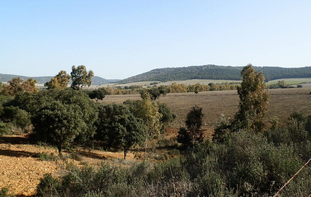 554_fincas-en-venta-075