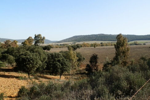 554_fincas-en-venta-075