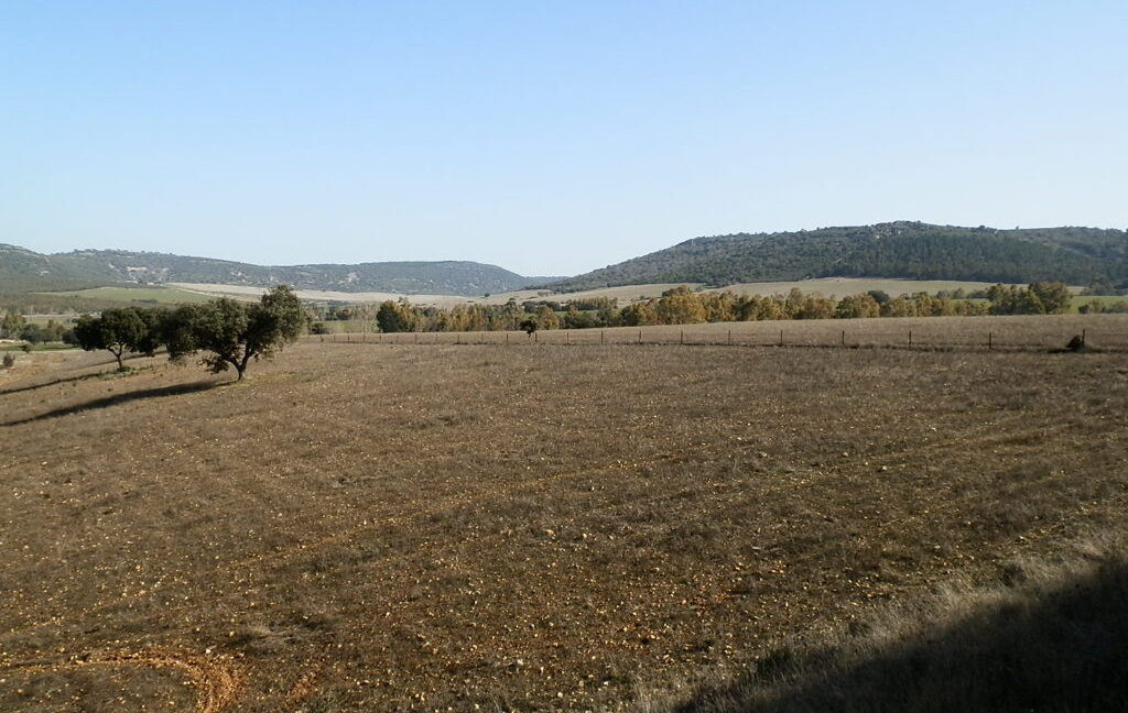 554_fincas-en-venta-076
