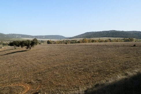 554_fincas-en-venta-076