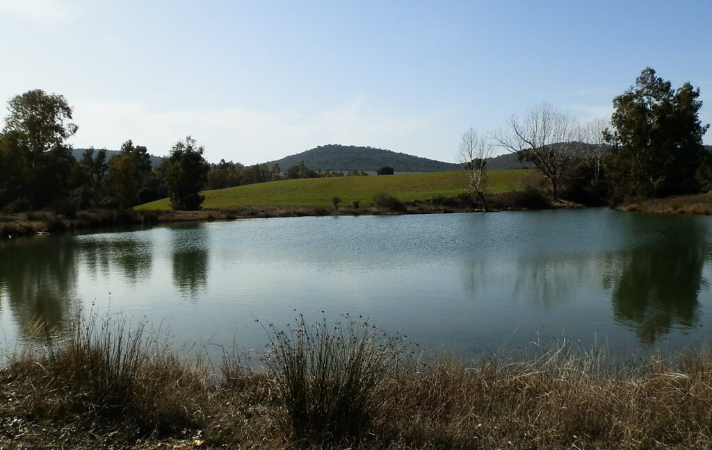 554_fincas-en-venta-078