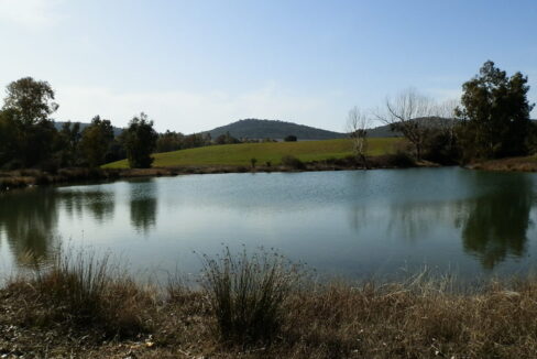 554_fincas-en-venta-078