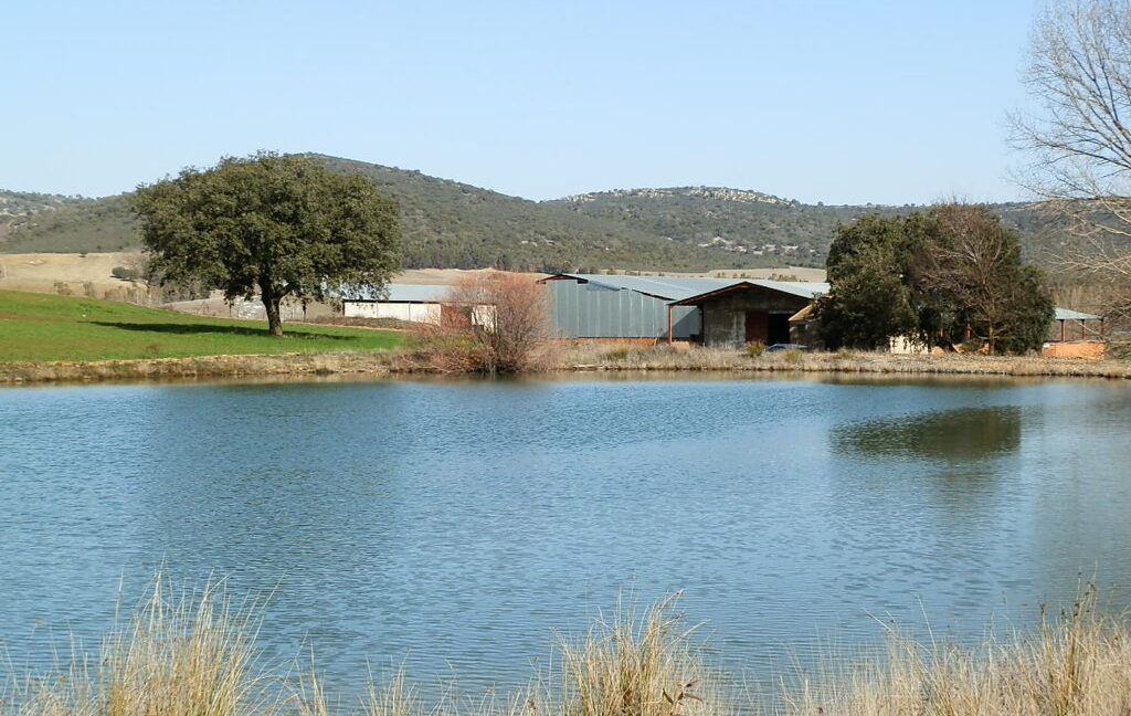 554_fincas-en-venta-082