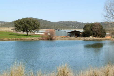554_fincas-en-venta-082