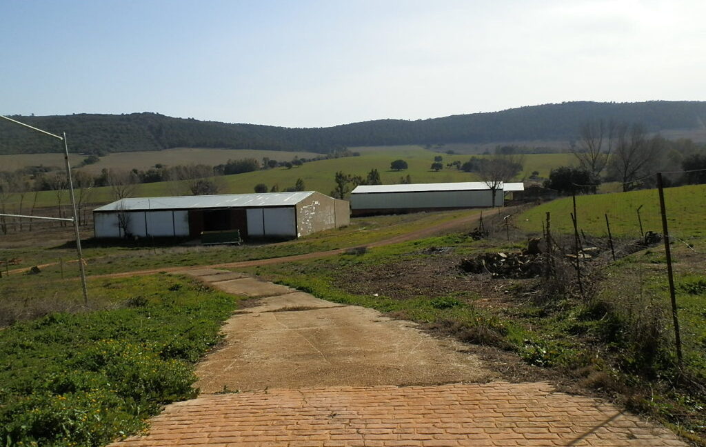 554_fincas-en-venta-084