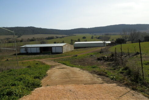 554_fincas-en-venta-084