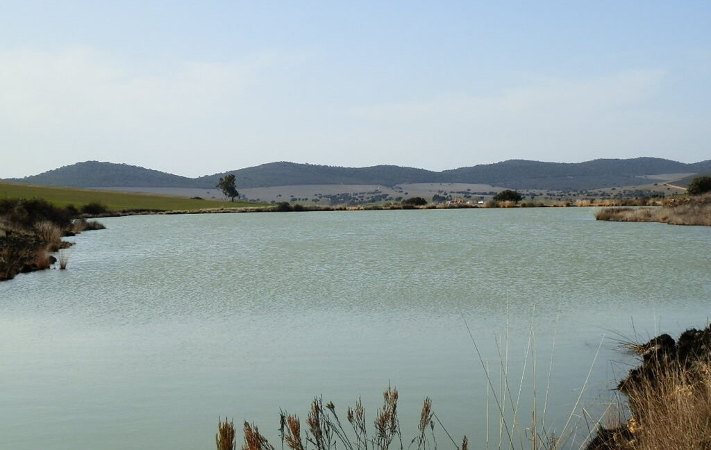 554_fincas-en-venta-089