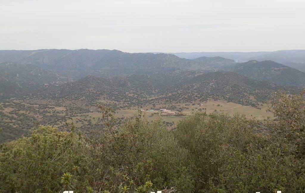 556_fincas-en-venta-028