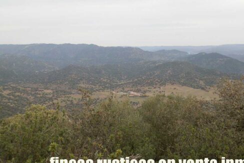 556_fincas-en-venta-028