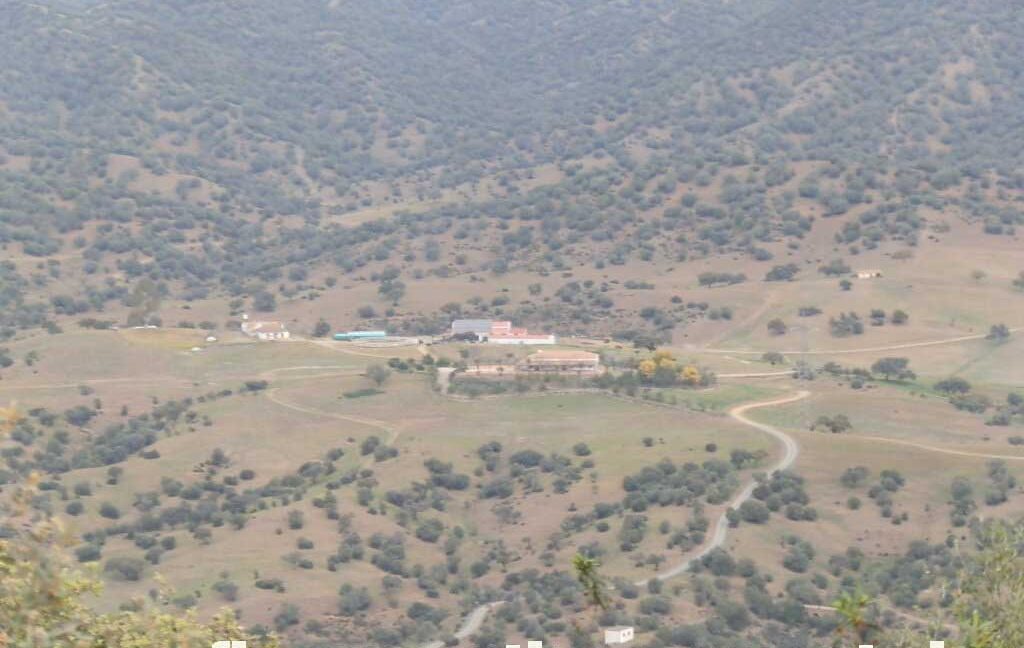 556_fincas-en-venta-033