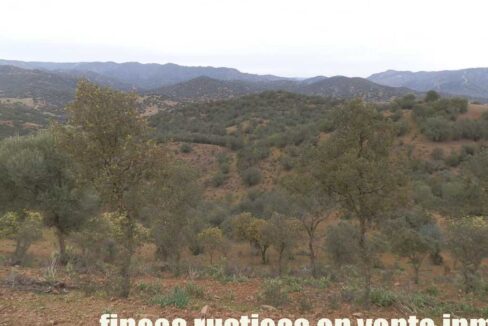 556_fincas-en-venta-034