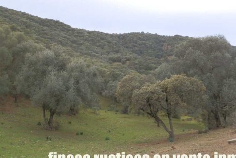 556_fincas-en-venta-037