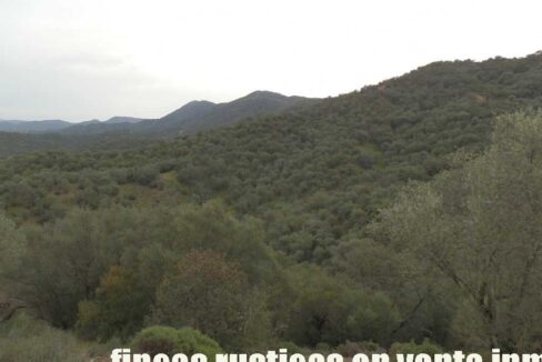 556_fincas-en-venta-040