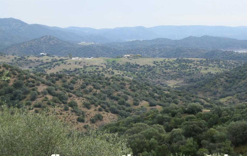 556_fincas-en-venta-042