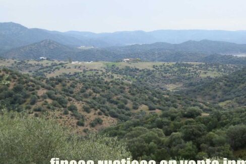 556_fincas-en-venta-042
