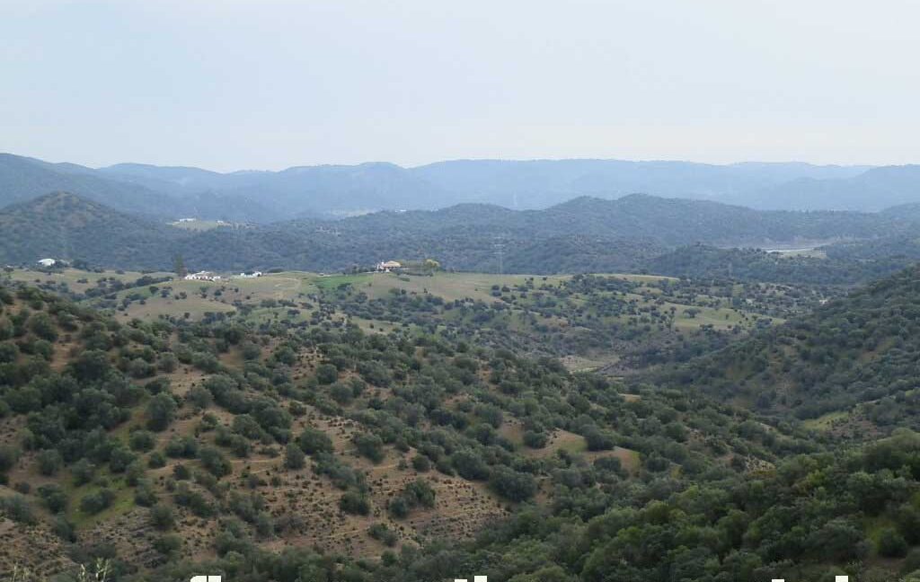 556_fincas-en-venta-045
