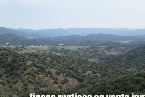 556_fincas-en-venta-045