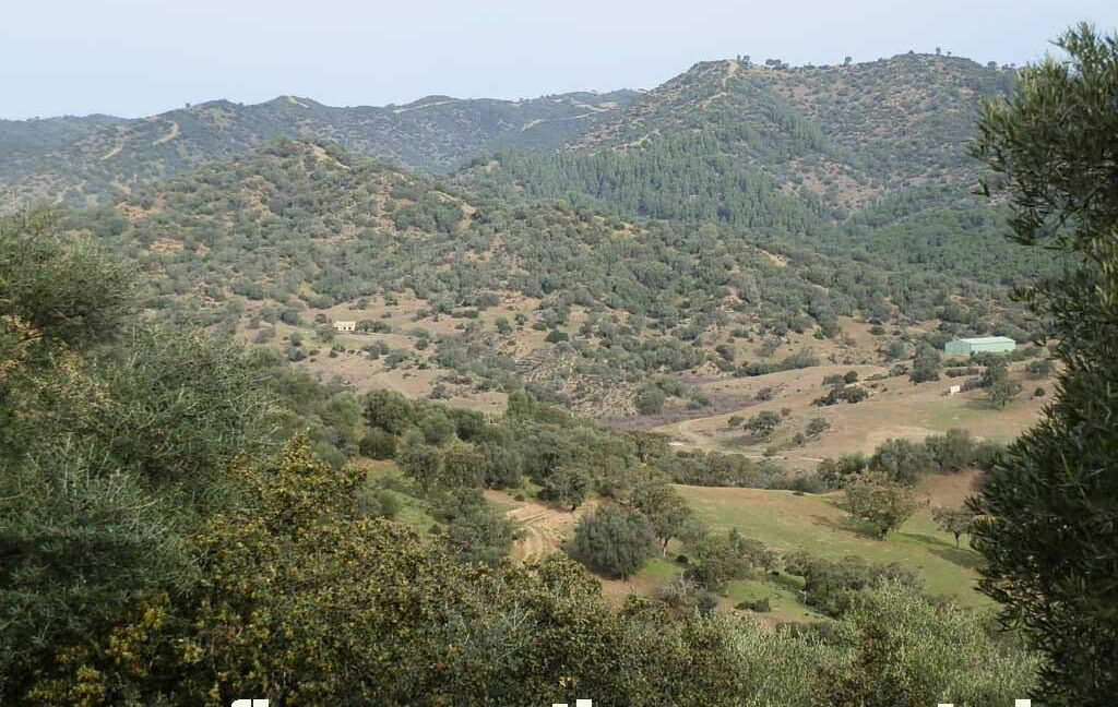 556_fincas-en-venta-049