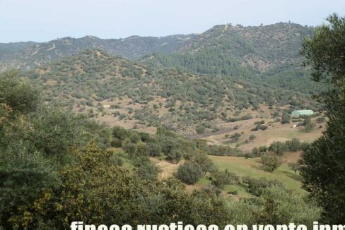 556_fincas-en-venta-049