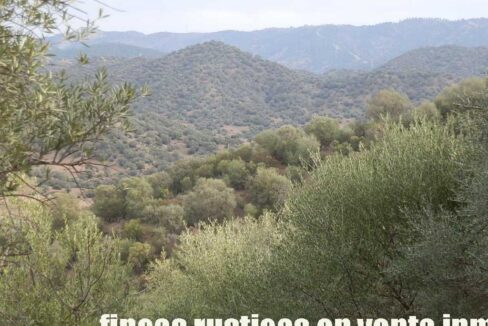 556_fincas-en-venta-051
