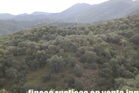 556_fincas-en-venta-054
