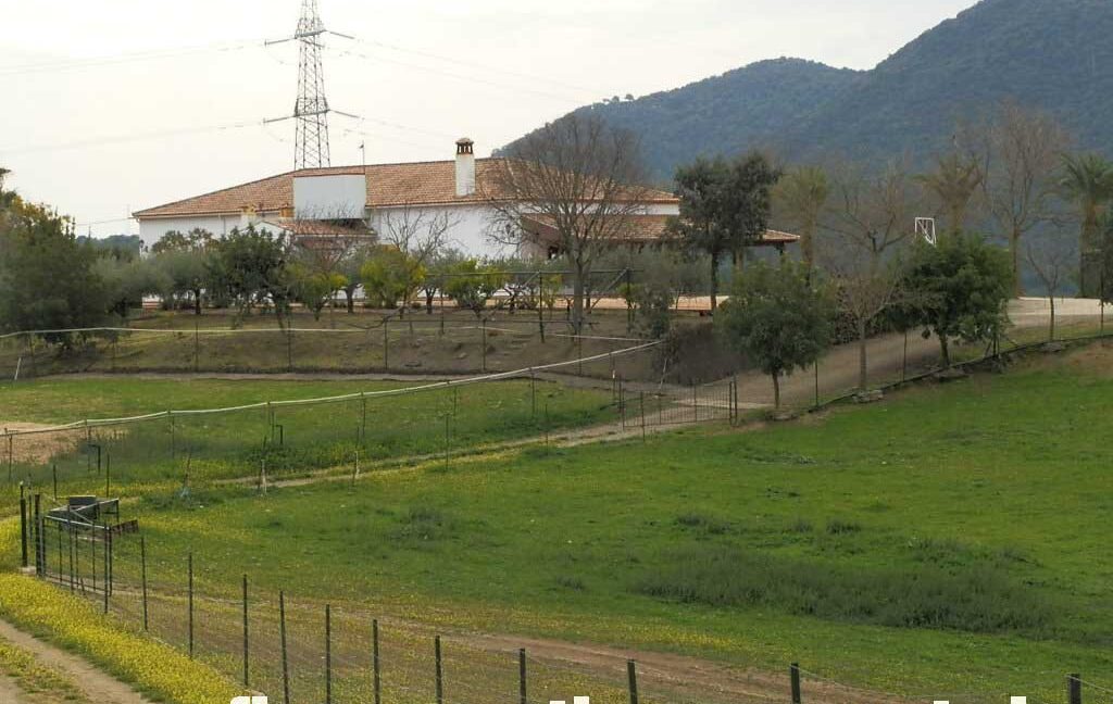 556_fincas-en-venta-061