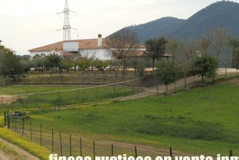 556_fincas-en-venta-061