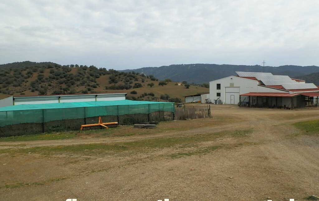 556_fincas-en-venta-063