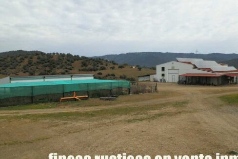 556_fincas-en-venta-063