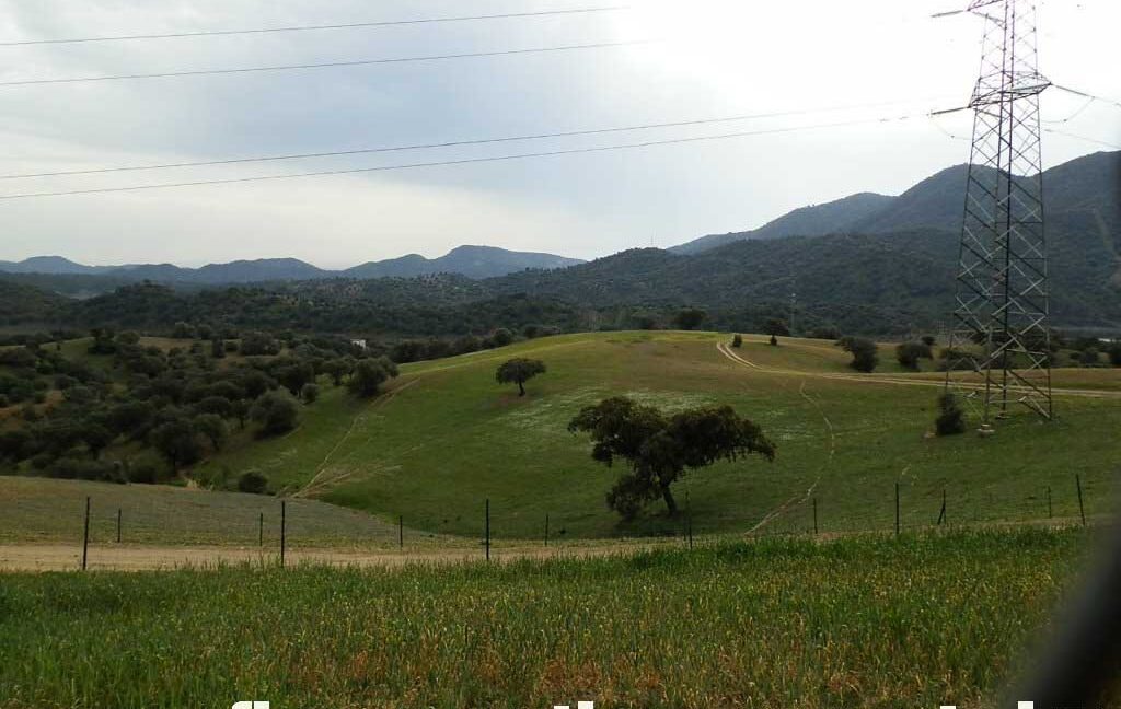556_fincas-en-venta-075