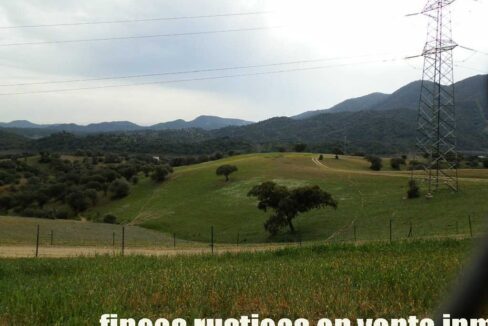556_fincas-en-venta-075
