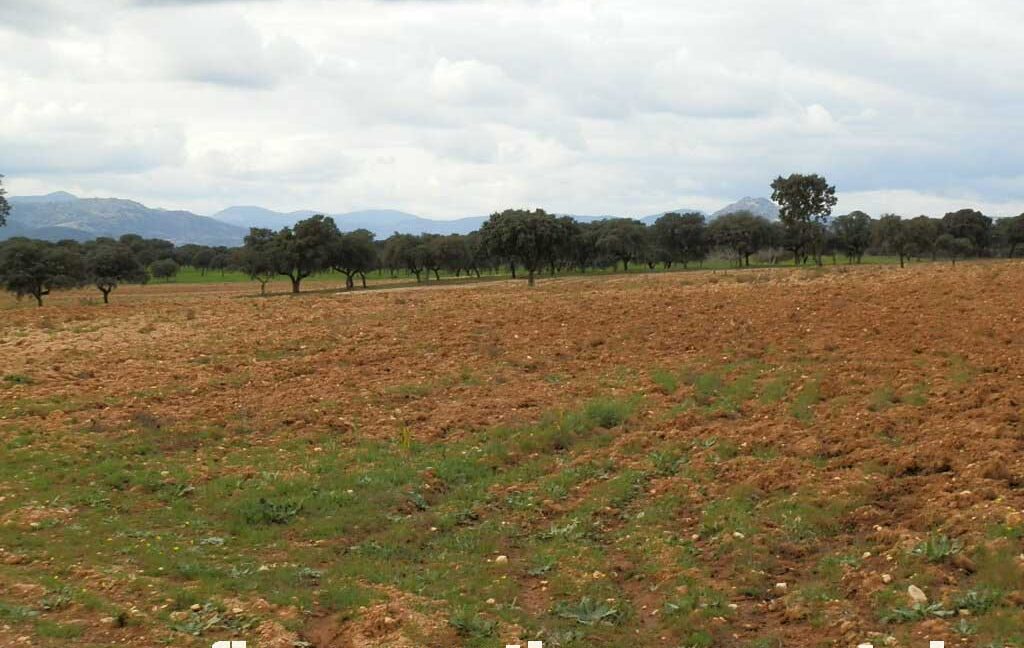 562_fincas-en-venta-0059