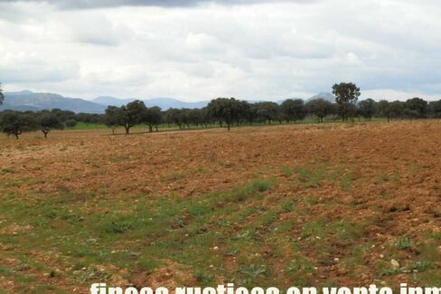 562_fincas-en-venta-0059