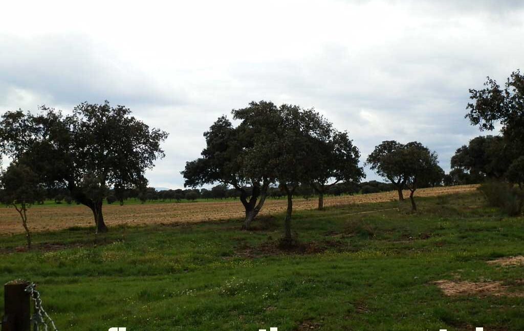 562_fincas-en-venta-0061