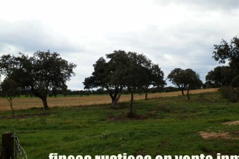 562_fincas-en-venta-0061