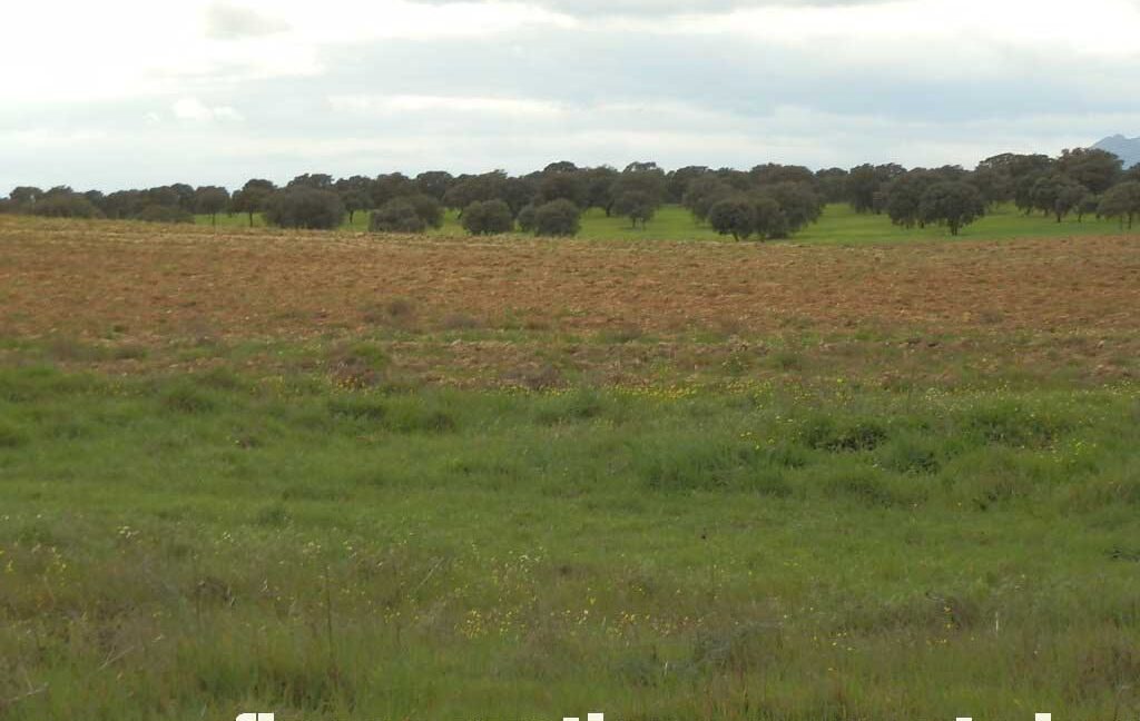562_fincas-en-venta-0062
