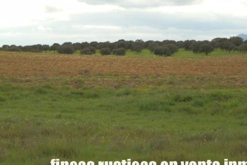 562_fincas-en-venta-0062