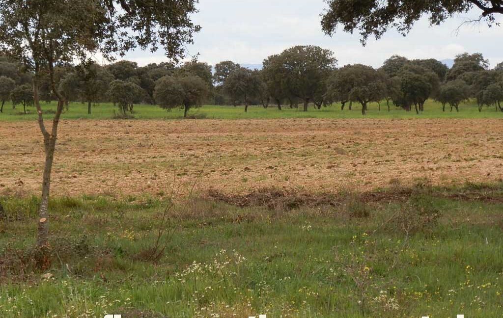 562_fincas-en-venta-0063