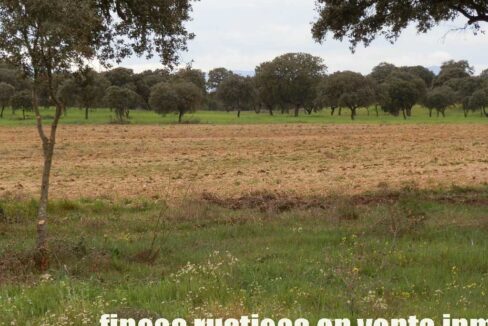 562_fincas-en-venta-0063
