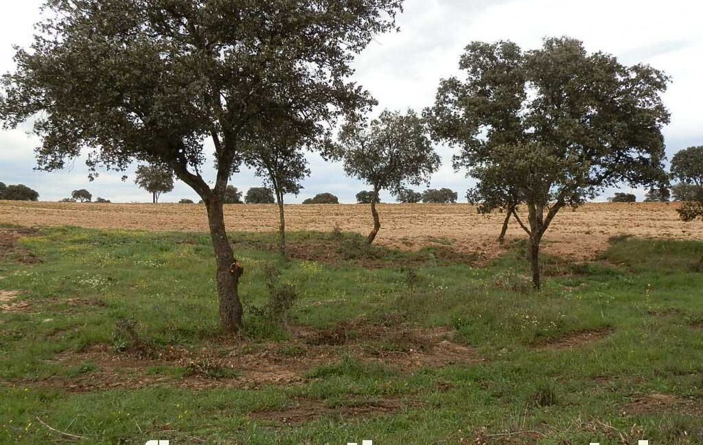 562_fincas-en-venta-0065