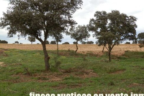 562_fincas-en-venta-0065
