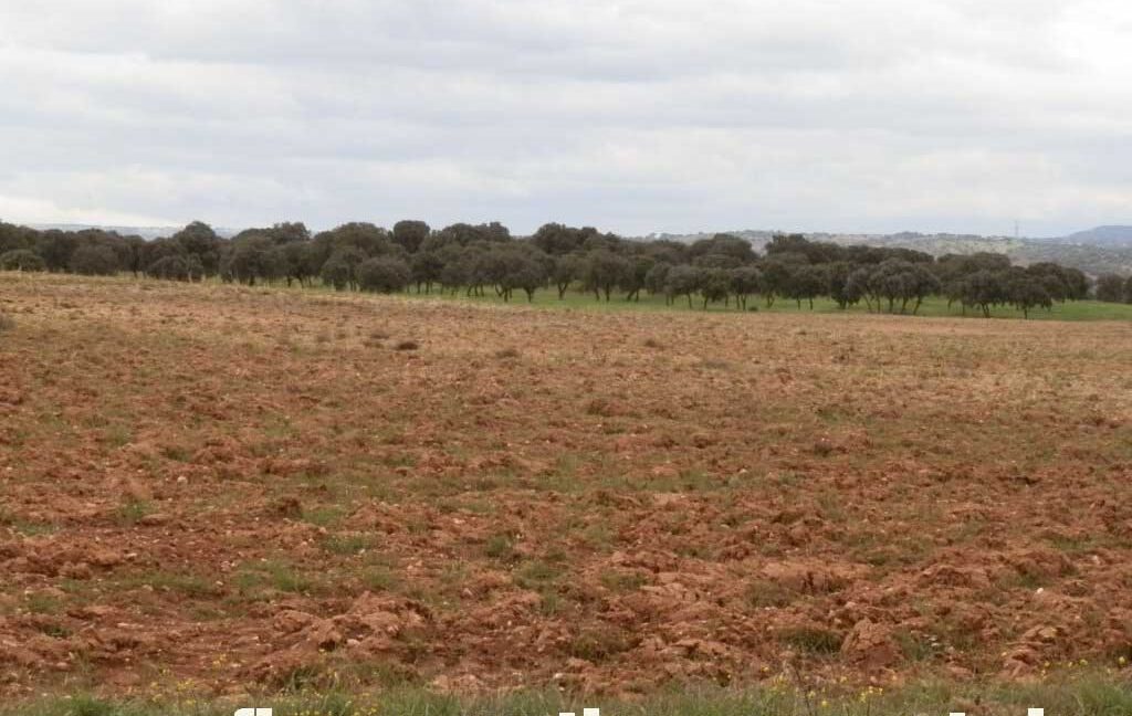 562_fincas-en-venta-0066