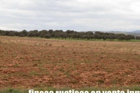 562_fincas-en-venta-0066
