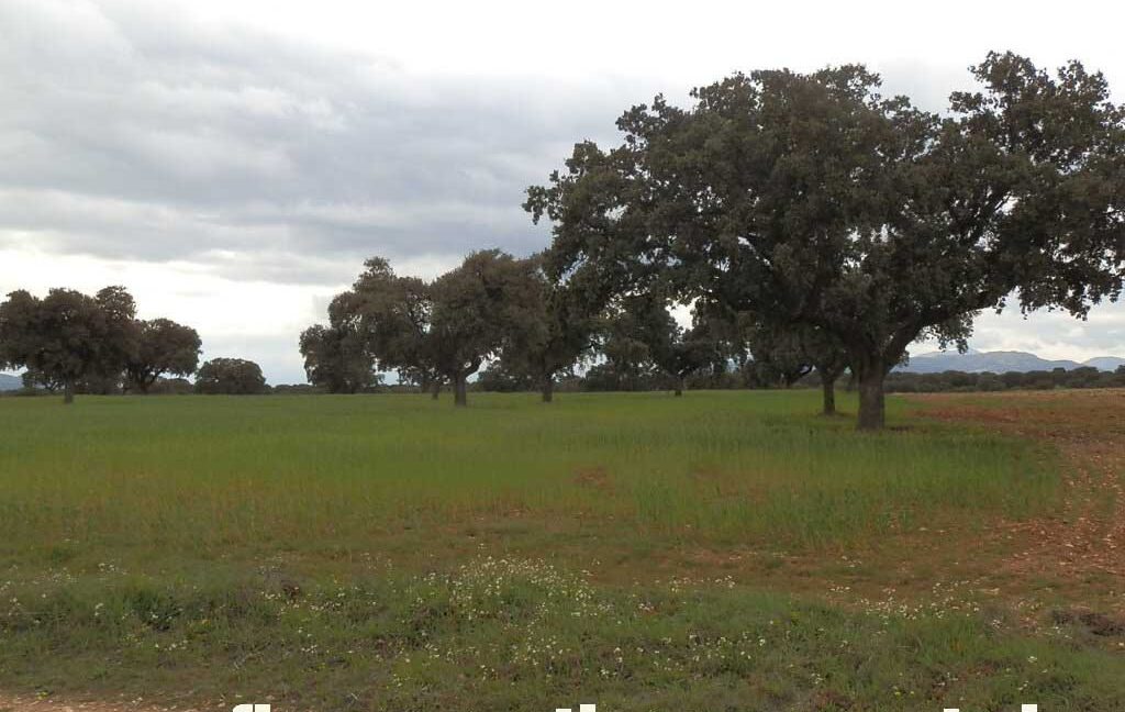 562_fincas-en-venta-0067