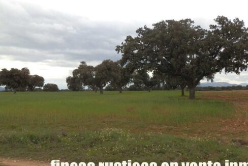 562_fincas-en-venta-0067